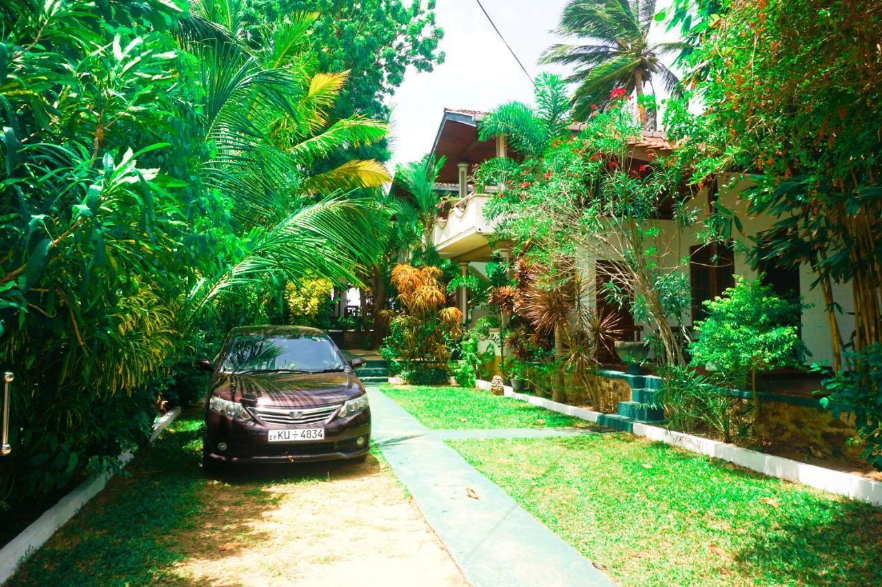Panorama Rock Cafe Bed & Breakfast Tangalle Eksteriør bilde