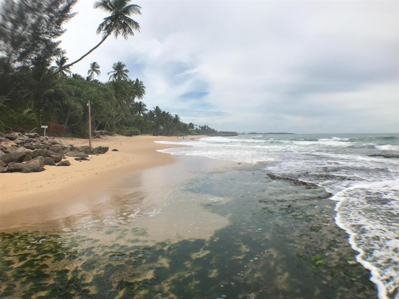 Panorama Rock Cafe Bed & Breakfast Tangalle Eksteriør bilde